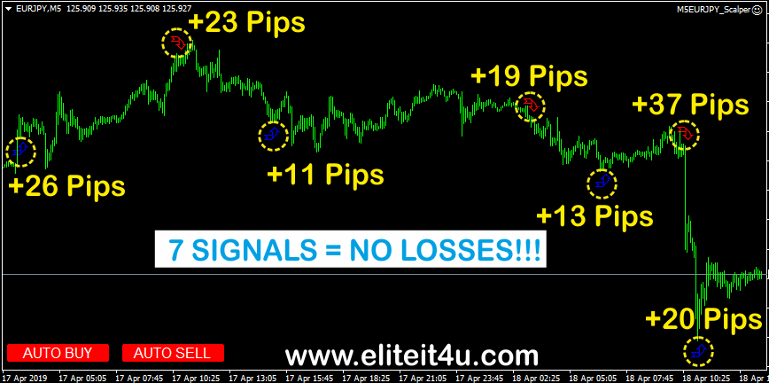 Forex Chart Buy Sell Signals